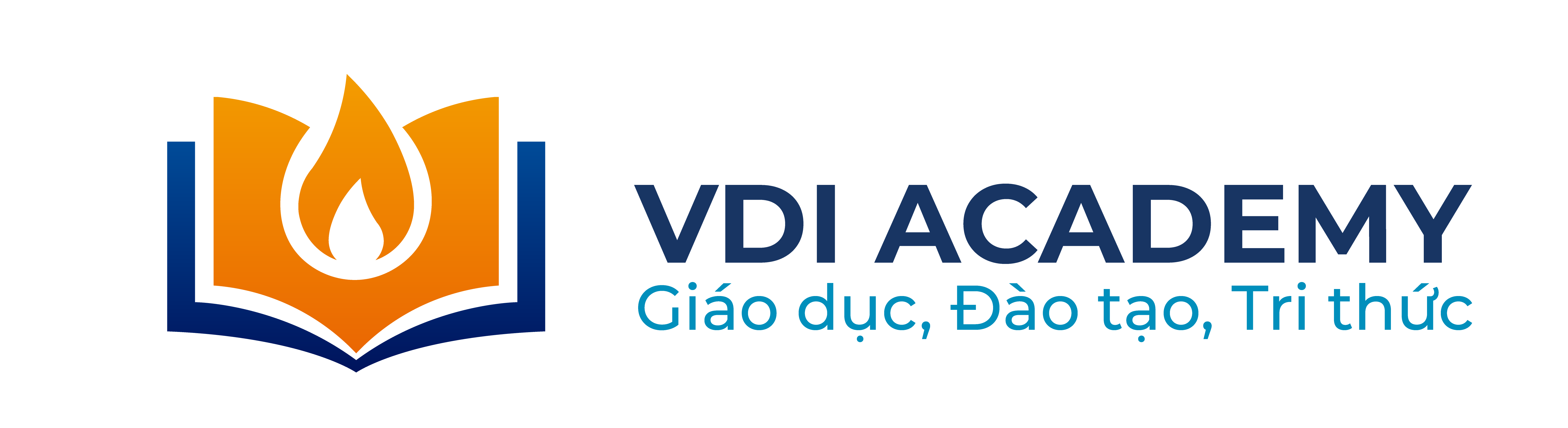 VDI ACADEMY logo