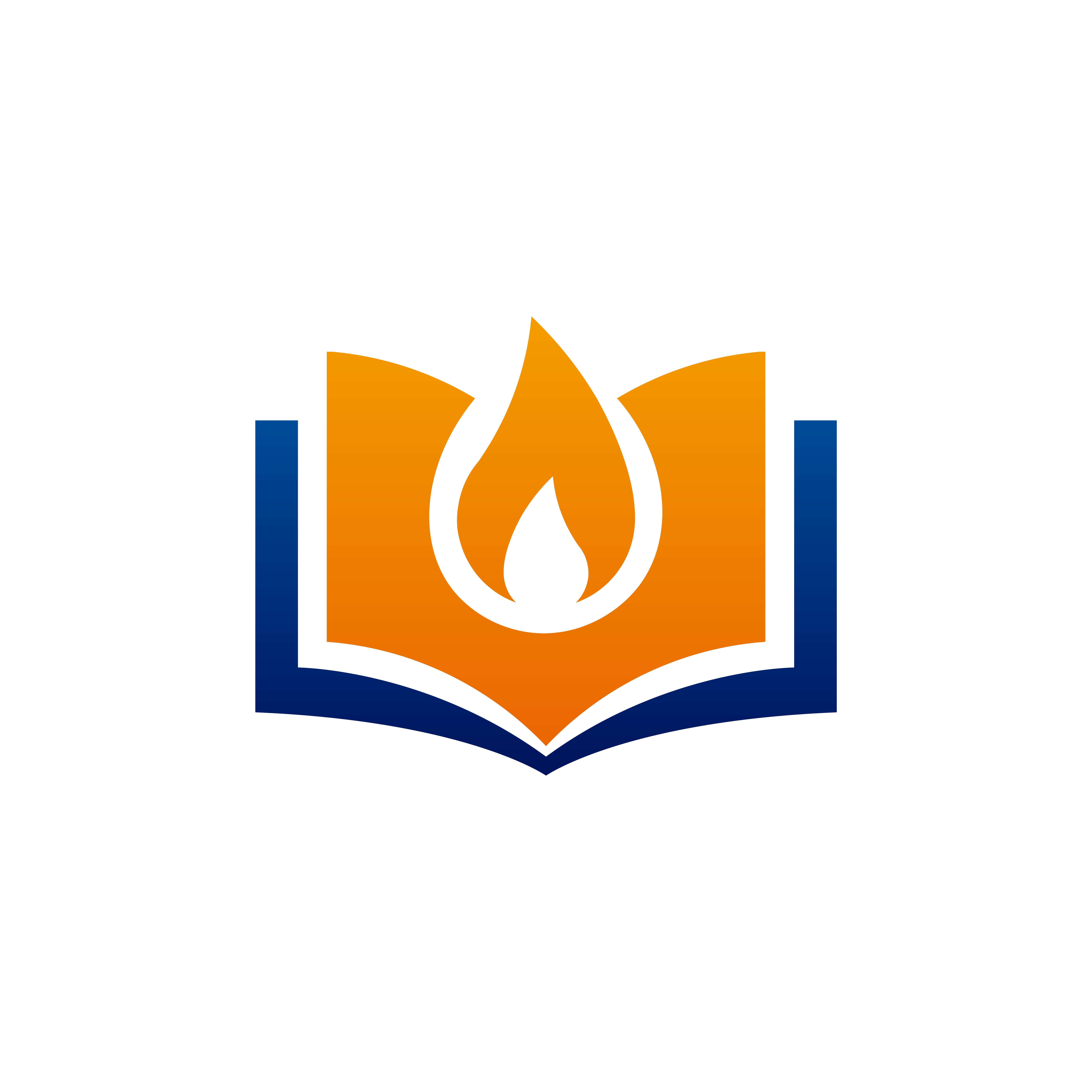 VDI ACADEMY logo